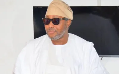 Sanni cites development of subnational economies, states as catalysts for Nigeria’s growth 1