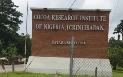 Remaining abducted cocoa farmers regain freedom in Ibadan 1