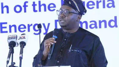 Power crisis: This peculiar mess is beyond Adelabu — by Yemi Kolapo 6 IMG 20260323 174148 6 x 4 inch