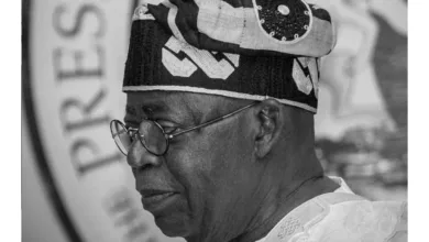 BIRTHDAY MESSAGE: Let's come together to build a stronger, prosperous nation — by Bola Tinubu 10 IMG 20260329 090646 6 x 4 inch
