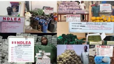 NDLEA arrests alleged fugitive drug kingpin after 13 years on the run 2 Screenshot 20260301 130752 800x445 1