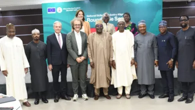 FG, global partners move to bridge skills gap among Nigerian youths 5 cbf9f45a 1867 4c7f 99e4 1135c560a811