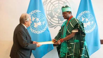 Jimoh Ibrahim presents Letter of Credence, says Tinubu will resolve all generational grievances 3 0b852cf2 f10e 4ea1 82bd d2dfdc1eba95