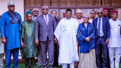 SGF inaugurates committee to review $200bn integrated gas, power, high-speed rail project 10 342afca7 6ee8 4ee1 87bd 15676824132b