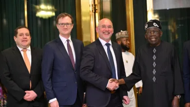 British Airways at 90: Tinubu reaffirms stronger Nigeria–UK aviation, economic partnership 3 8d7e1be5 c84b 4f26 b035 a2c054ff43d6