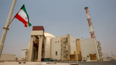 Why an attack on Bushehr nuclear plant would be catastrophic for the Gulf 5 AP25240393477360 1771307505
