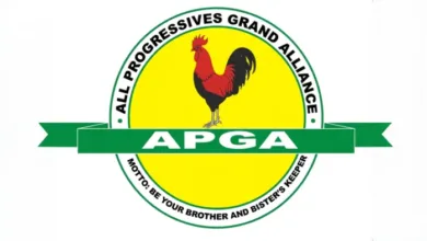 APGA Flag 700x394 1