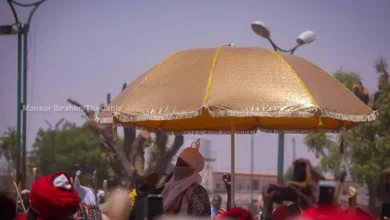 Emir Sanusi at the palace 10 768x512 1