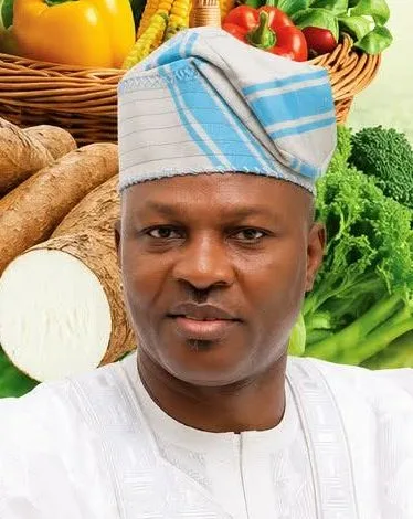 Alimosho LG Chairman drives agricultural growth, strengthens support for local farmers 1 FB IMG 17766747207332