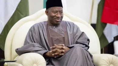 The fallacy of the ‘decent young man’ — by Wale Bakare 3 Goodluck Jonathan