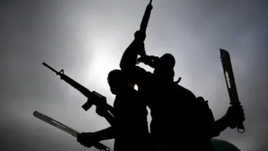 Aiyedatiwa gives kidnappers 14 days to leave Ondo forests 8 Gunmen 1