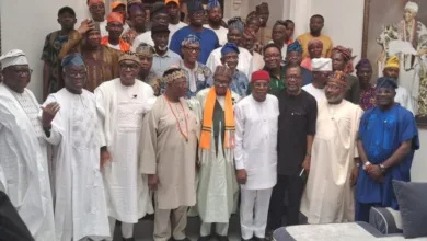Afenifere, ACF, NEF leaders back SDP ahead of 2027 12 IMG 20260401 WA0000 768x576 1