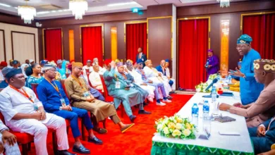 Meeting with President Tinubu: What Renewed Hope leaders and ambassadors say — by Tunde Rahman 3 IMG 20260417 WA0006