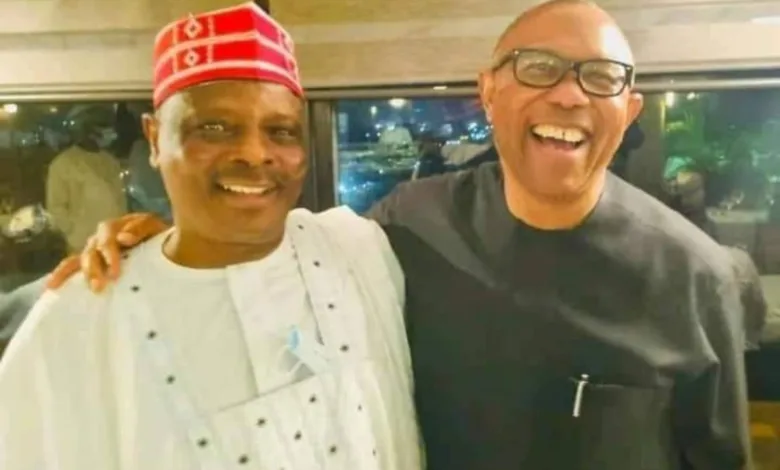 The Obi–Kwankwaso alliance: Puff or pith? — by Ugo Egbujo 1 IMG 20260425 WA0001