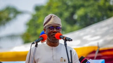 Nigerians should not pay more for fuel over border smuggling, says Makinde 8 IMG 0101 768x510 1