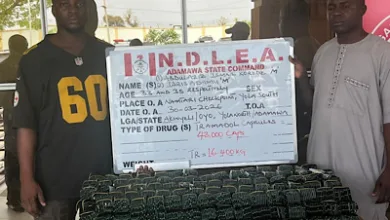 NDLEA busts drug trafficking syndicates, kingpin after three-week long operation 12 IMG 0178