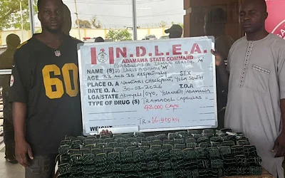 NDLEA busts drug trafficking syndicates, kingpin after three-week long operation 1 IMG 0178