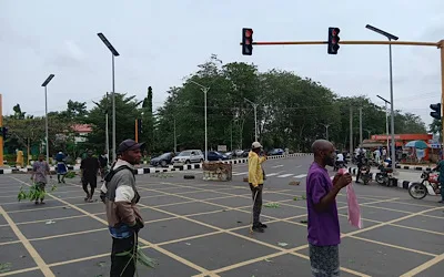 IMG 0321