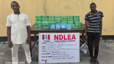 NDLEA discovers cocaine, cannabis in food flask at Lagos airport, apprehends suspects 2 IMG 0591