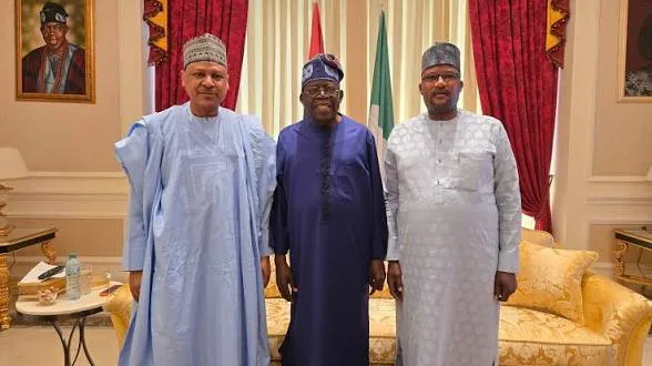Nigeria cannot fight terrorism alone, Tinubu pursuing global support — information minister 1 IMG 1113