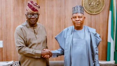 SWDC Chair meets Shettima, seeks cooperation with NEC, development commissions 5 IMG 1336