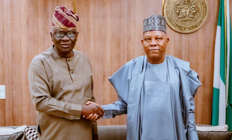 SWDC Chair meets Shettima, seeks cooperation with NEC, development commissions 1 IMG 1336
