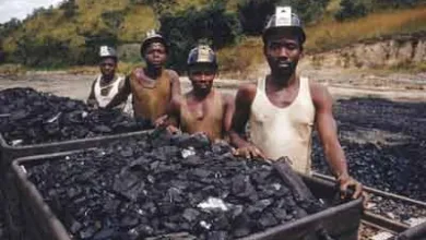 FG targets 500,000 jobs in solid minerals, moves to cut imports by 2027 9 IMG 1370