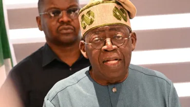 Tinubu at 74: Gesture, grit and the politics of perception — by Magnus Onyibe 10 IMG 20260401 052044 6 x 4 inch