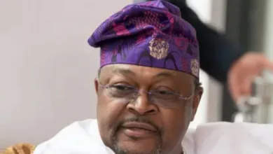 Mike Adenuga: The iroko that casts no shadow twice — by Olabode Opeseitan 8 IMG 20260413 200515 6 x 4 inch