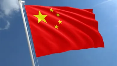 China becomes new growth pole in global education market: report 1 IMG 2169
