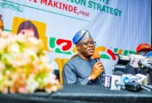 Oyo clarifies Ogbomoso farm settlement plan, says land not for sale 11 Makinde 768x512 1