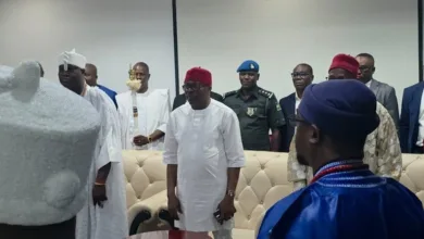 2027: Fubara canvasses support for Tinubu's re-election 1 WhatsApp Image 2026 04 23 at 11.22.02 768x432 1