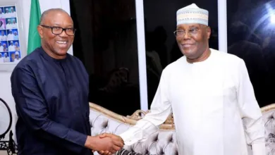 The irretrievable breakdown of marriage between Atiku and Obi — by Femi Fani-Kayode 2 images 2026 04 28T154336.292
