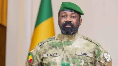 Mali leader says situation under control in first speech since attacks 4 images 33