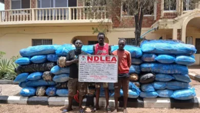 NDLEA arrests three disabled persons for alleged drug trafficking 3 8f232985 b2cb 445d ae42 46beebed2c28
