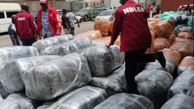 NDLEA intercepts cannabis worth N10.4bn at Lagos port 1 9faef351 4046 48e4 9664 6a9b1b0afdd1
