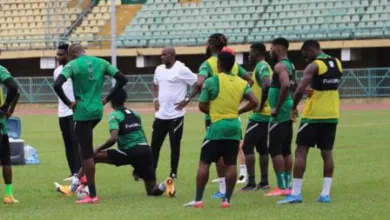 NPFL stars earn Super Eagles Unity Cup call-up 3 IMG 20260514 WA0120