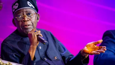 The audacity of vision: Why Tinubu’s bold risks might rewrite Nigeria’s history — by Nnaemeka Ikerionwu 6 IMG 20260516 WA0009