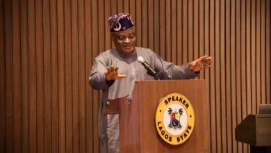 Strong institutions key to economic growth- Obasa tells global investors 8 IMG 20260517 WA0358
