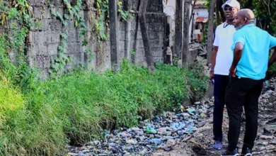 Seven years of Sanwo‑Olu: How Lagos is racing towards Africa's clean mega city — by Babajide Fadoju 2 IMG 20260526 WA0010