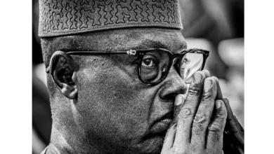 Ekiti 2026: Election or coronation? — by Bolanle Bolawole 1 IMG 20260510 063145 6 x 4 inch
