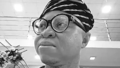 Film critic advocates formal education, mentorship to improve Nollywood output 8 IMG 20260510 135850 6 x 4 inch
