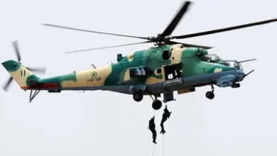 NAF airstrikes destroy terrorist strongholds in Borno, several militants killed 4 IMG 3588