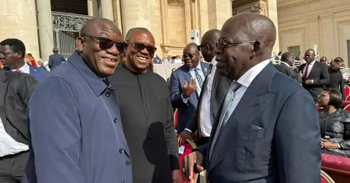 Fayemi reveals how Tinubu reacted when Obi approached him at Vatican 1 IMG 3692