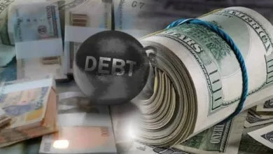 Nigeria still creditworthy compared to Egypt, South Africa, Senegal — Presidency 6 IMG 3942 1