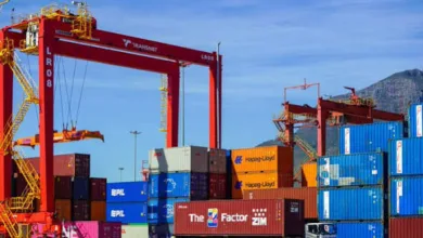 FG moves to expands export air corridor to East, Southern Africa to ease logistics burden 3 IMG 3964 1