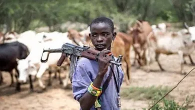 USCIRF says 30,000 armed Fulani militants operating across Nigeria 10 IMG 3992