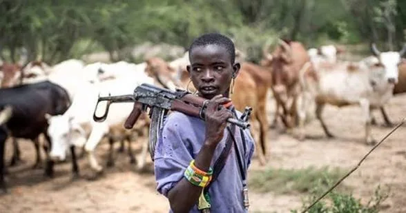 USCIRF says 30,000 armed Fulani militants operating across Nigeria 1 IMG 3992