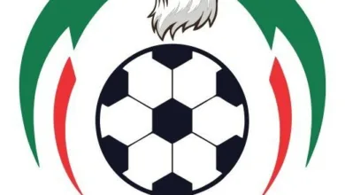 NPFL title, relegation battles go down to final day drama 8 NPFL logo1