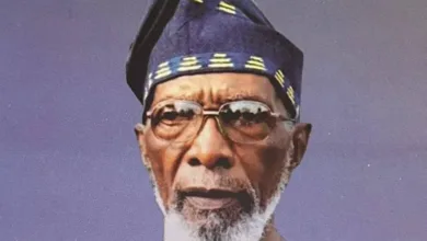 Segun Osoba remembered for role in anti-military struggle, radical scholarship 12 Osoba